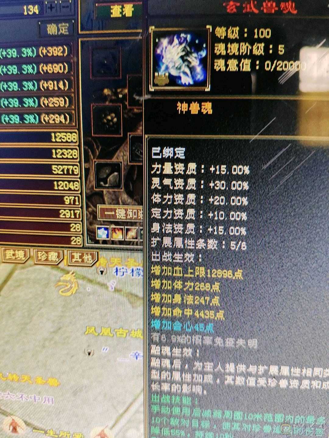 无敌丹小丐帮6属不满号7000毒1850火200火减 800火抗，极不极限你