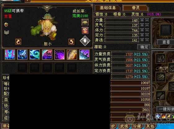 🏅温暖推荐🏅精品6级星宿-最高性价比-JP会心灵武-裸面板-幻视武器多-不绑定地宫马双永久坐骑、双盟会-所见即所得！