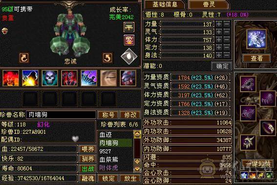 5体5属5命带所有包括仓库