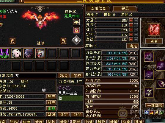 五体五属五命中五闪避五抗五身法