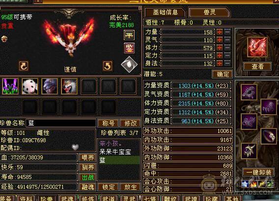 五体五属五命中五闪避五抗五身法