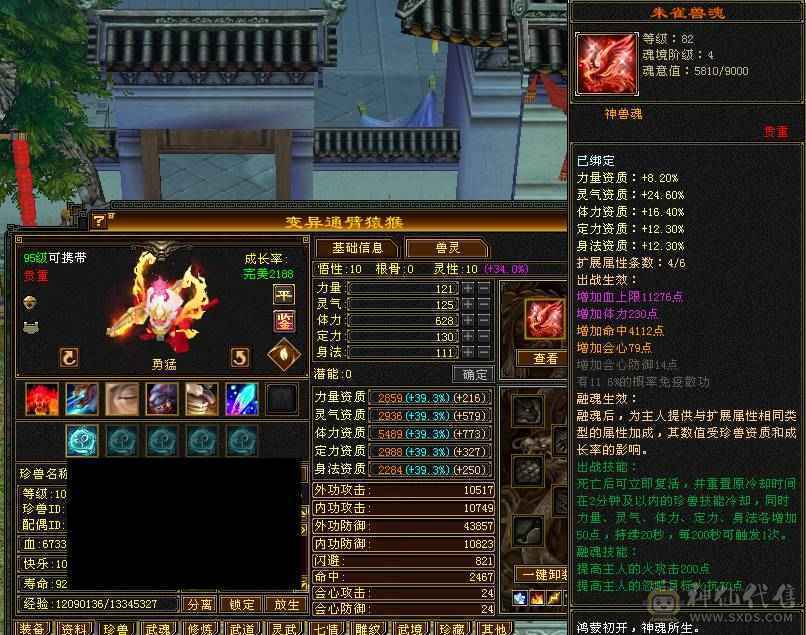 暴力四修明教，帅气高伤害