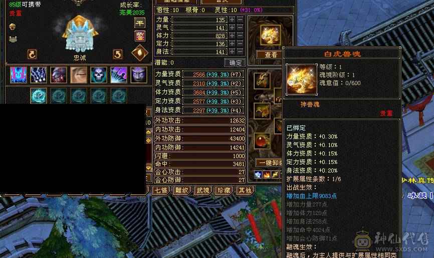 毋庸置疑，强力峨眉，满6火毒抗，可转少林