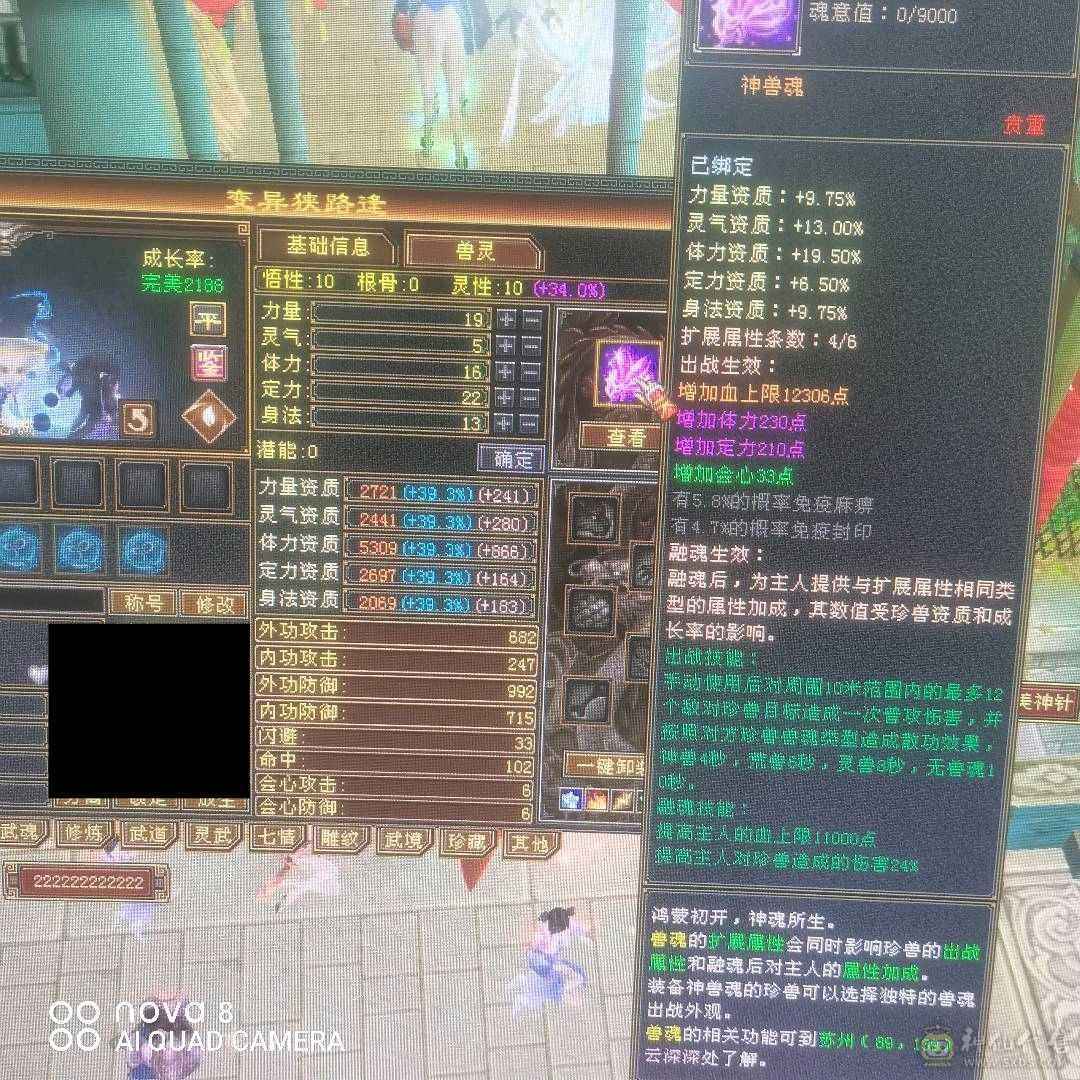 56万血冰抗最高可到1200带个商会神工9级