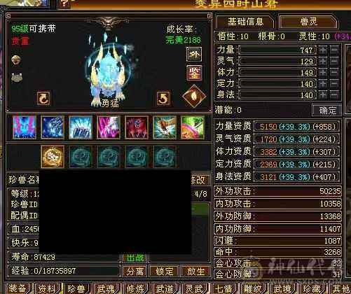 骨翼赤兔三修高攻