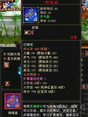 含两个游戏号，天山主属2318，毒属360，玄属587，火属303，体力雕纹7级，冰属雕纹6级