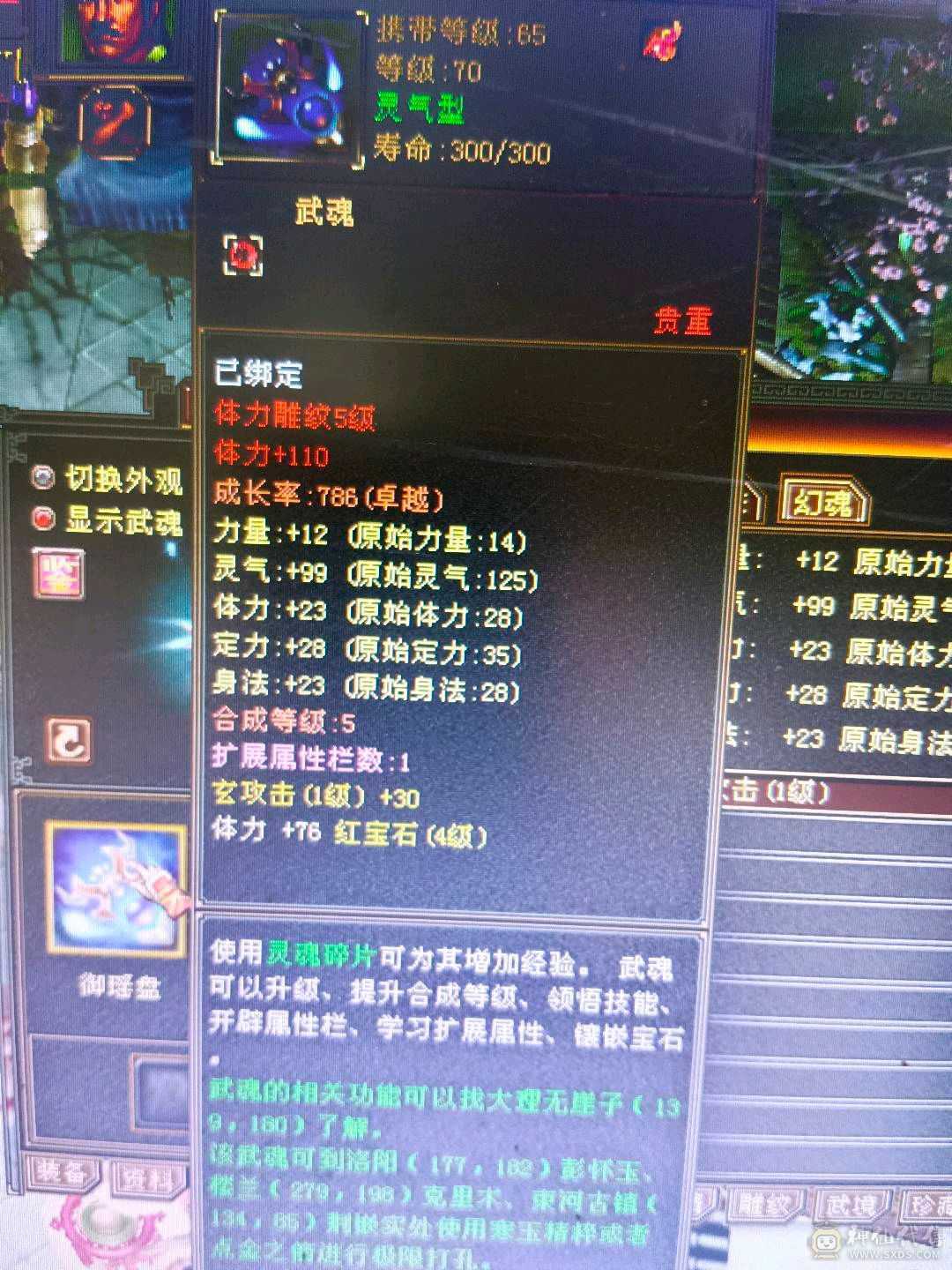 五级雕文，20万血，秒价出