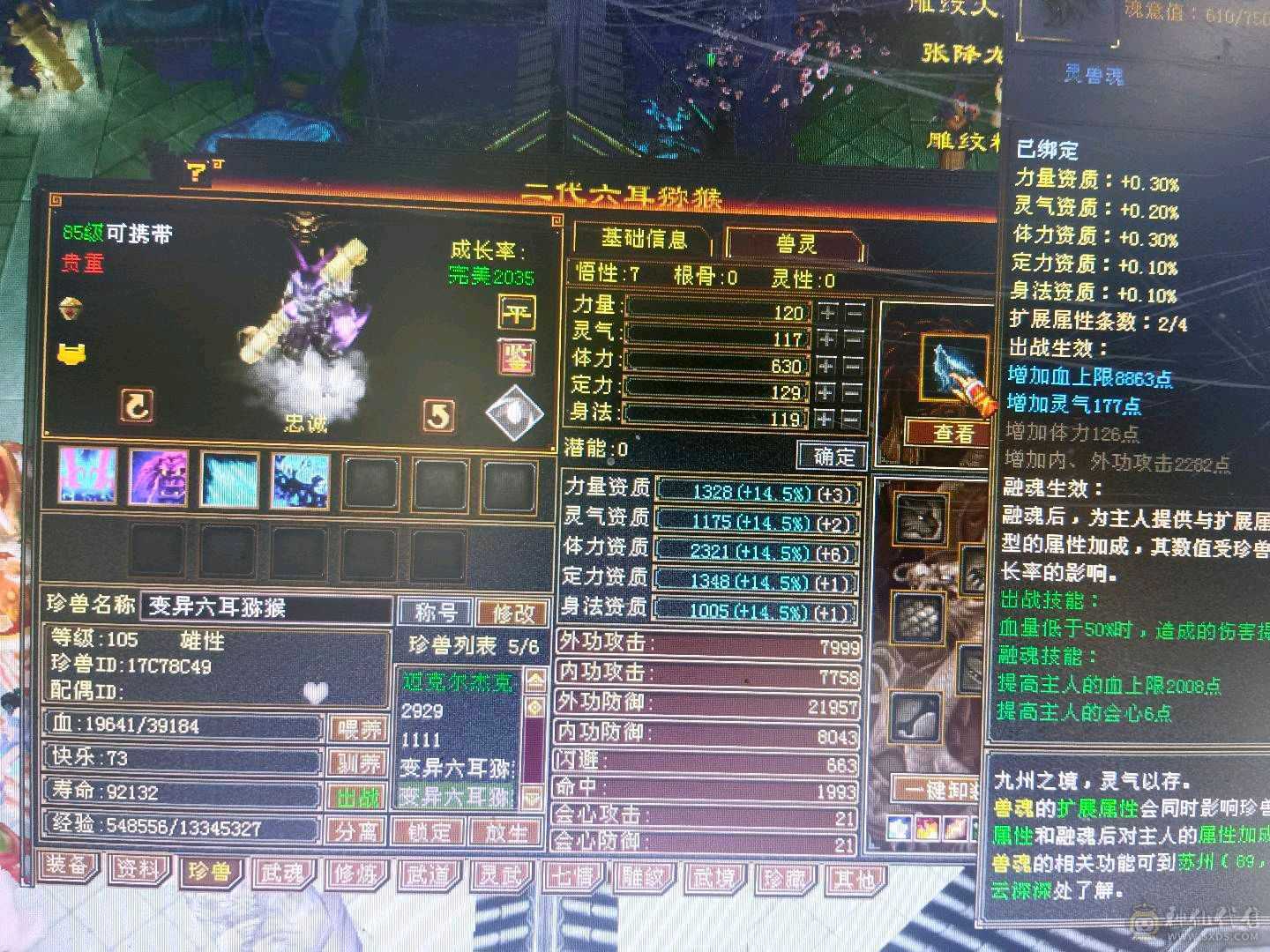 五级雕文，20万血，秒价出