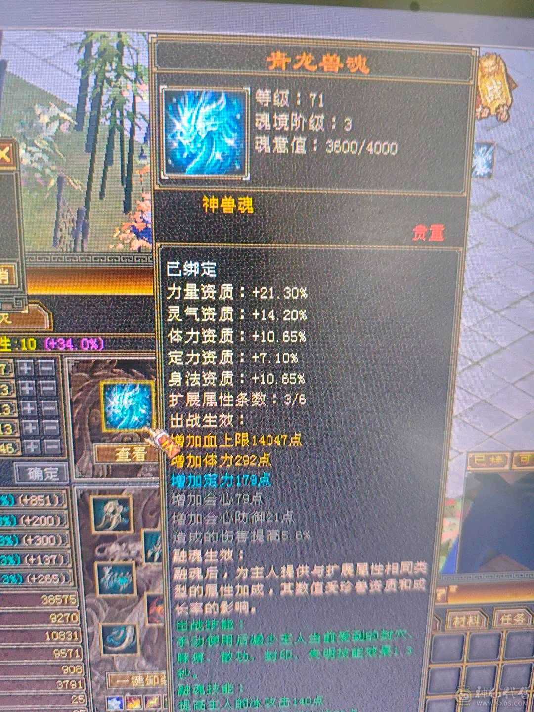 喜欢的秒，最低价卡级