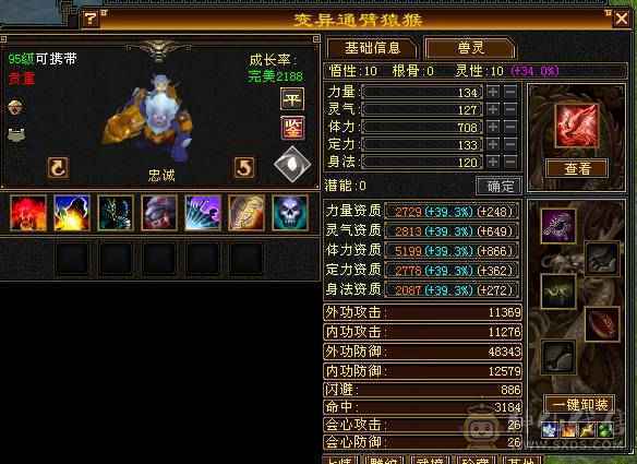 🏅温暖推荐🏅满5逍遥-5阶神-裸面板-高命中高闪避高会心带宝宝出-所见即得！