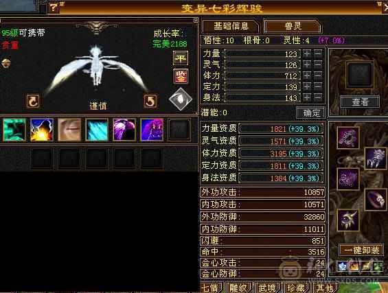 🏅温暖推荐🏅满5逍遥-5阶神-裸面板-高命中高闪避高会心带宝宝出-所见即得！