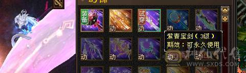 4级金箍棒，3级紫金宝剑，3级花，仙侣奇缘衣服，就卖个环视和时装钱