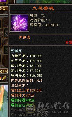 完全可以对比，绝对最便宜最划算，能打能抗的暴力峨眉，关键是漂亮，幻饰四个，时装多多，大包，永久熊，生活节那个都是9级