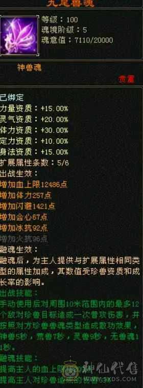 漠北推荐 细节峨眉双坑 6橙九尾  