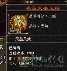 彭于晏推荐，满6带7 带10雕文极品星宿，杂抗高，近千增伤，无敌丹，切装备900减，单挑团战没压力