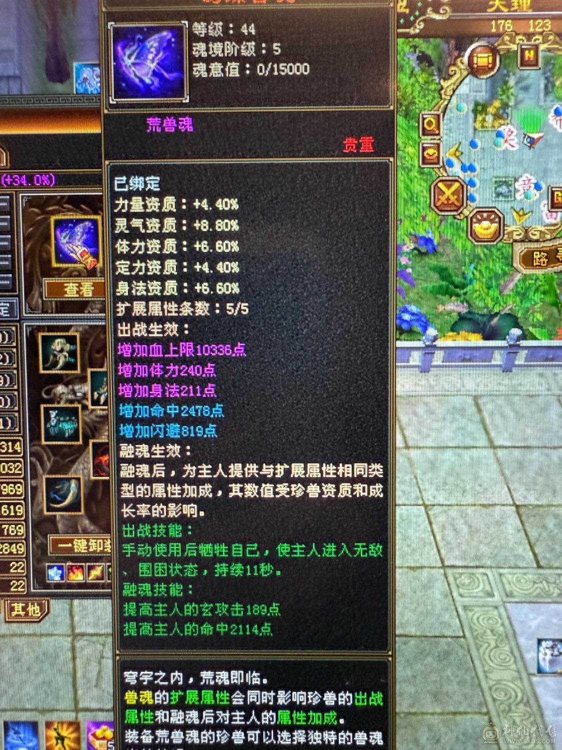 『晴天推荐』6神白虎 满6新雕6 377会防 4修4杂抗 纹刻6级 盟会10 金乌+红熊双坐骑 