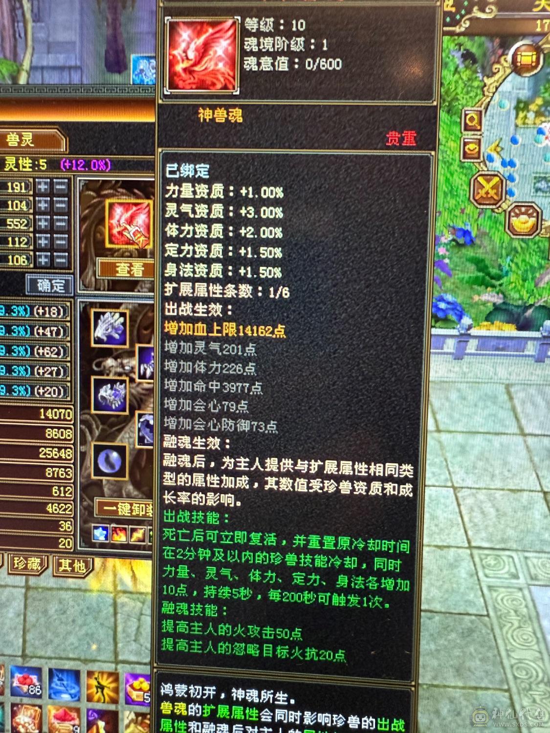 『晴天推荐』6神白虎 满6新雕6 377会防 4修4杂抗 纹刻6级 盟会10 金乌+红熊双坐骑 