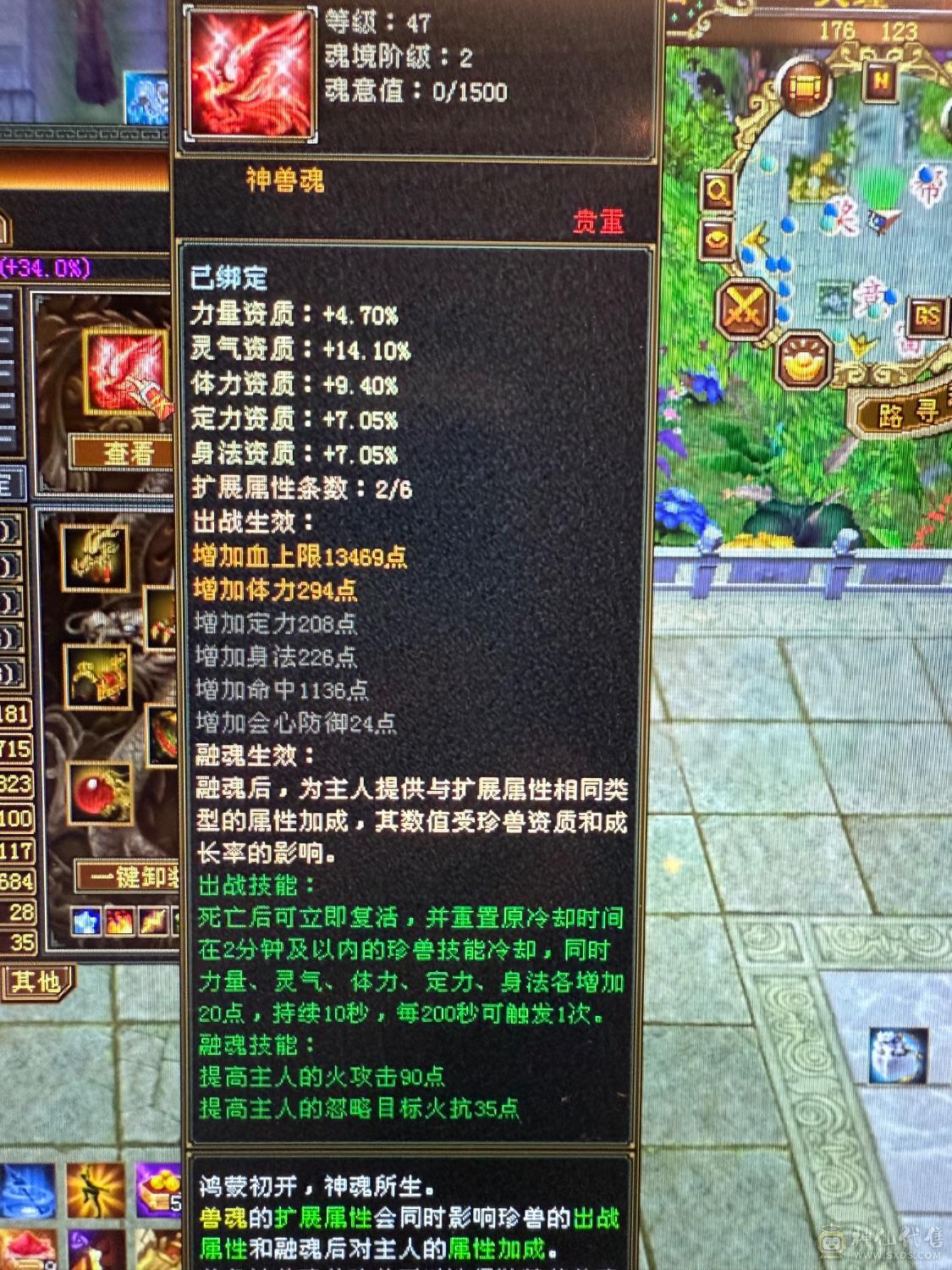 『晴天推荐』6神白虎 满6新雕6 377会防 4修4杂抗 纹刻6级 盟会10 金乌+红熊双坐骑 