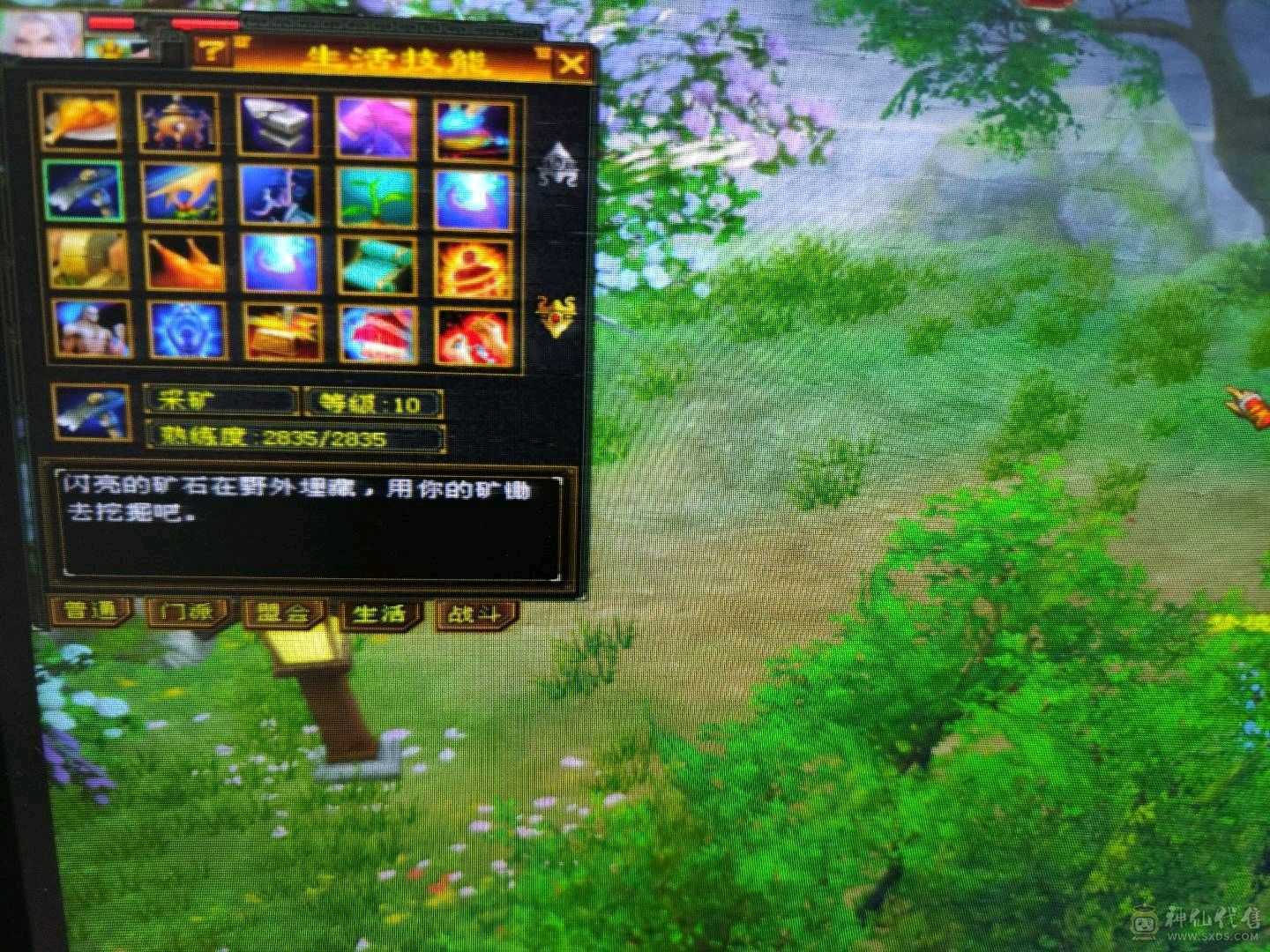 喜欢就砍吧，3神六荒带俩双十宝宝，身法加点武魂可以提升一波，成长巨高，10矿9药，性价比最高天山多了不说少了不唠，秒50万，自己看吧永久大白熊