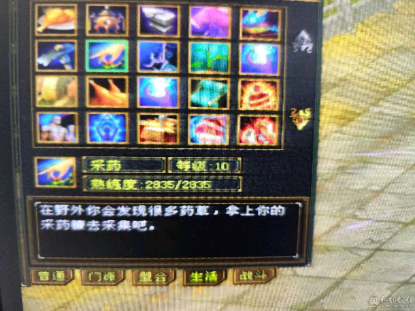 喜欢就砍吧，3神六荒带俩双十宝宝，身法加点武魂可以提升一波，成长巨高，10矿9药，性价比最高天山多了不说少了不唠，秒50万，自己看吧永久大白熊