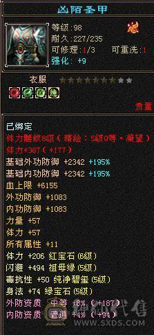 满5带十几个6满8雕时装多多麒麟坐骑高命中高会心面板吃了个5级精华