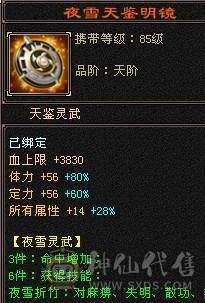 满5带十几个6满8雕时装多多麒麟坐骑高命中高会心面板吃了个5级精华