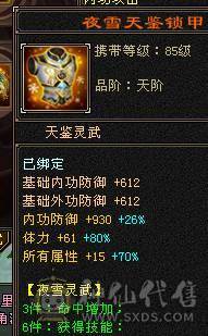 满5带十几个6满8雕时装多多麒麟坐骑高命中高会心面板吃了个5级精华