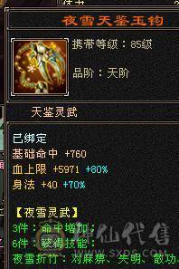 满5带十几个6满8雕时装多多麒麟坐骑高命中高会心面板吃了个5级精华