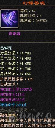 满5带十几个6满8雕时装多多麒麟坐骑高命中高会心面板吃了个5级精华