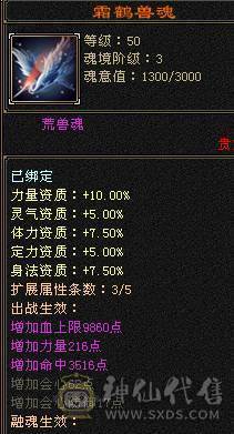 满5带十几个6满8雕时装多多麒麟坐骑高命中高会心面板吃了个5级精华