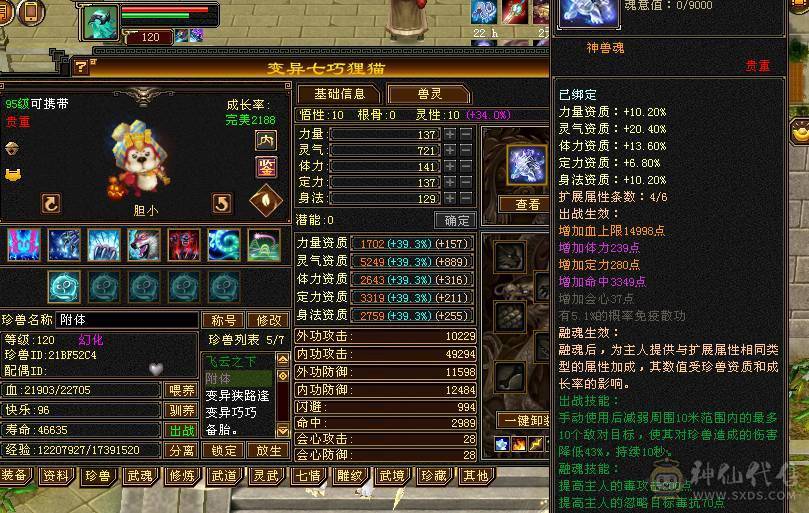 金色龙隐华曜，全身四级配饰，金色太阿剑，金色剑匣，金色顶边飓风圣兽。帅就完了。9级玉食客，可以挖松露。满级声望，做六阶种子。还有红色龙隐华曜，夜雨听竹！附体宝宝和圣兽1000多块。