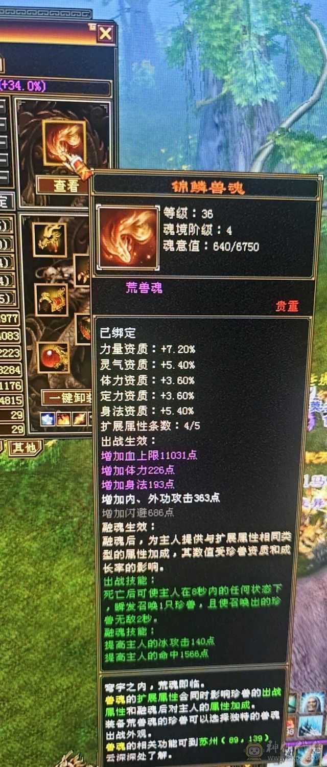 6655极品天山6550属性 减抗782＋超值