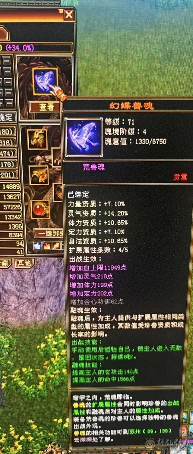 6655极品天山6550属性 减抗782＋超值