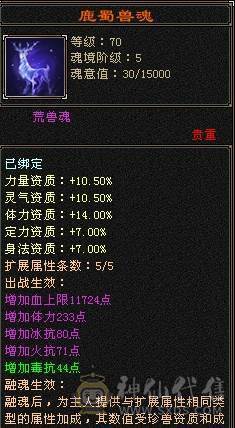 芬达推荐：718冰抗 770 火炕 双抗峨眉白菜出