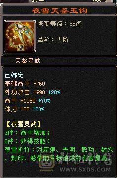 昆仑雪猿坐骑永远看一下 满5差4个减抗就满了仓库里有10颗4级冰  3幻世3级 时装多多