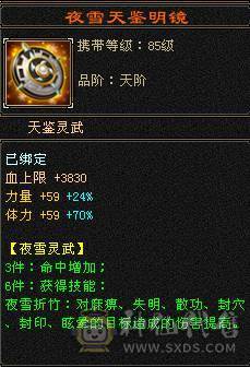 昆仑雪猿坐骑永远看一下 满5差4个减抗就满了仓库里有10颗4级冰  3幻世3级 时装多多