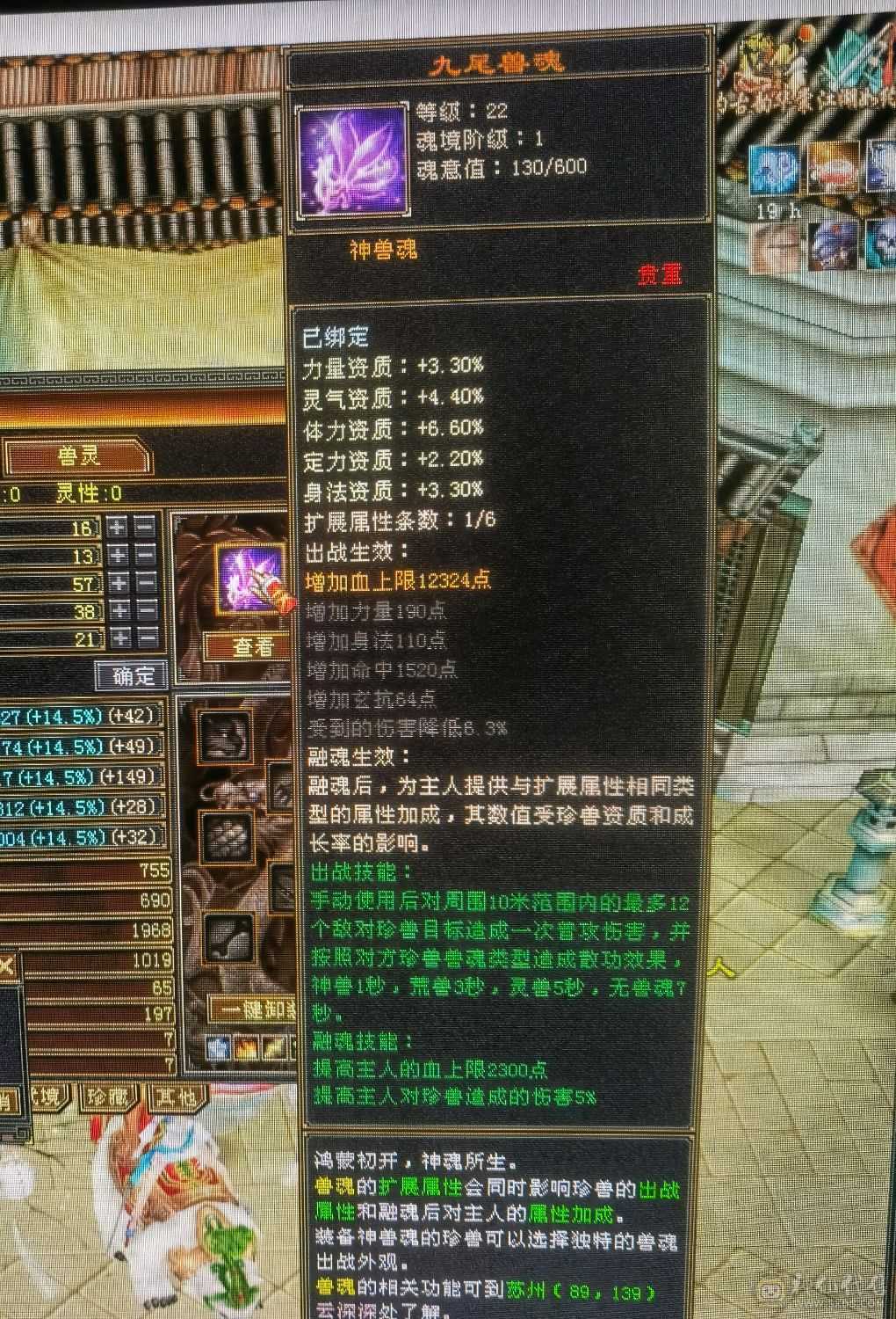 第一梯队5级7雕峨眉带双十高毒抗