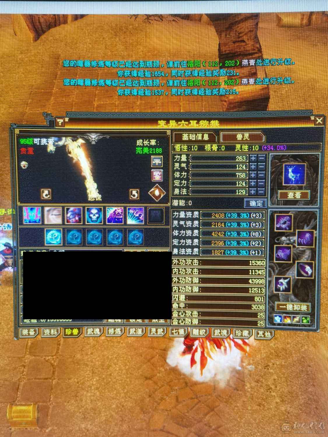 第一梯队5级7雕峨眉带双十高毒抗