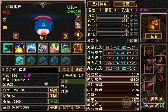 版本之子冰气武当，五减石头好几个，带宝宝仓库东西全带