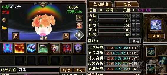 四修高会心星宿 