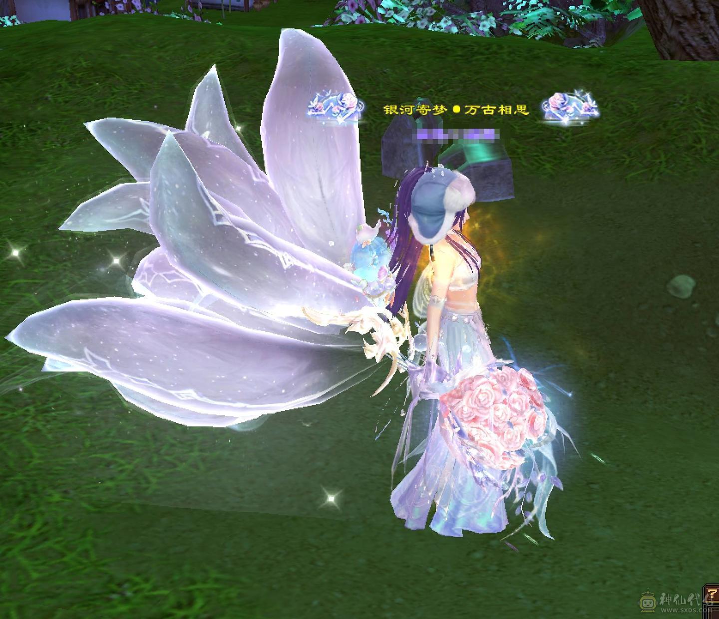 晴天推荐：8万以下面板和外观最硬的曼陀，6神6减，8万命中，630+会心，双10盟会，纵横花榜第一，带全区唯一绝版坐骑。仅外观消费十几万，全身亮点。截图非常详细。