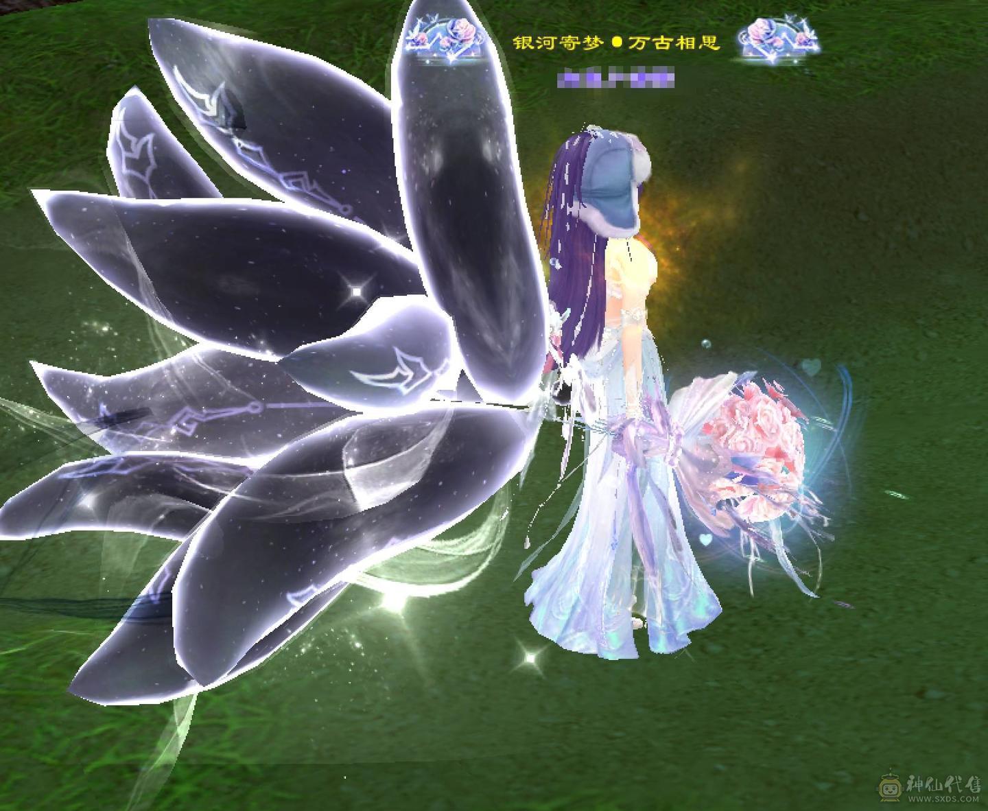 晴天推荐：8万以下面板和外观最硬的曼陀，6神6减，8万命中，630+会心，双10盟会，纵横花榜第一，带全区唯一绝版坐骑。仅外观消费十几万，全身亮点。截图非常详细。