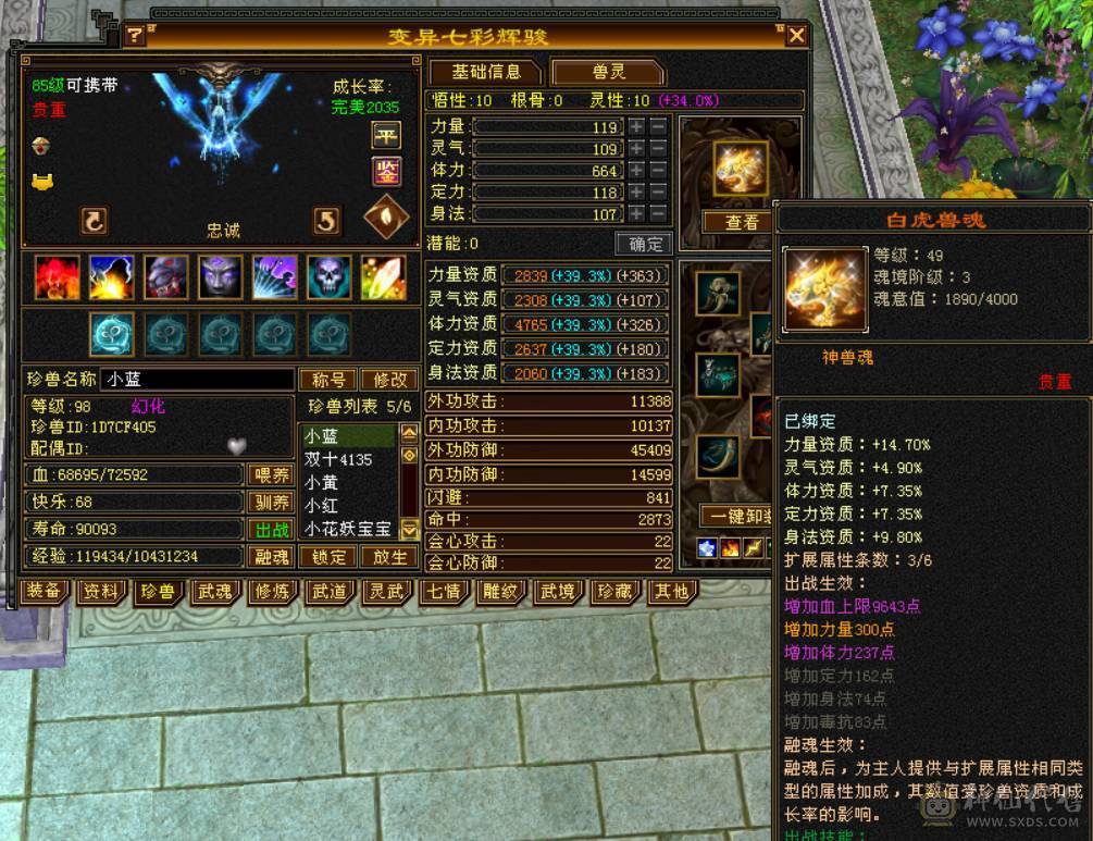 『晴天推荐』5体属 7雕少林 带双十4400天马