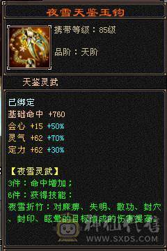 极限5带6气武当十万内功换号出细节自己看