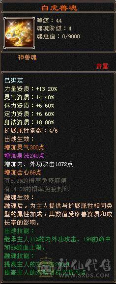 极限5带6气武当十万内功换号出细节自己看