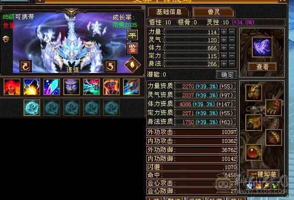 三修高伤，面板非常好看。带宝宝。