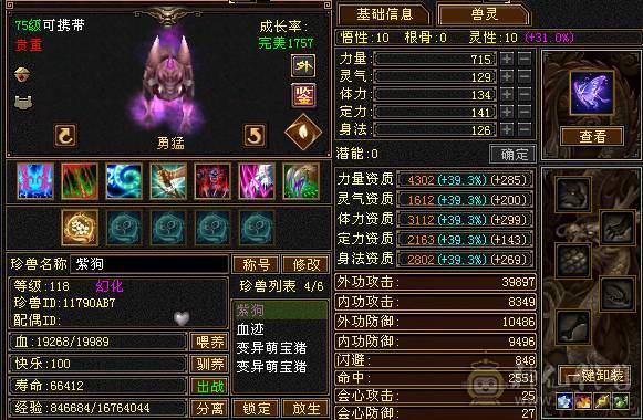 帅气高会心武当 高内功 上线即玩