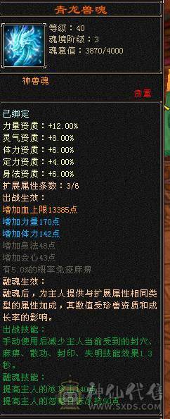 🏅温暖推荐🏅5带4气武当-四修-能打能抗-6阶荒-裸面板面板是附体图片--所见即得！