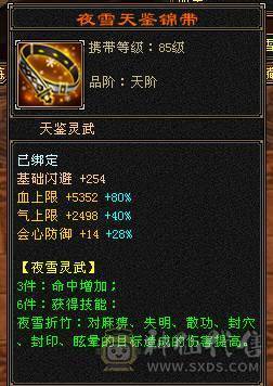 🏅温暖推荐🏅5带4气武当-四修-能打能抗-6阶荒-裸面板面板是附体图片--所见即得！