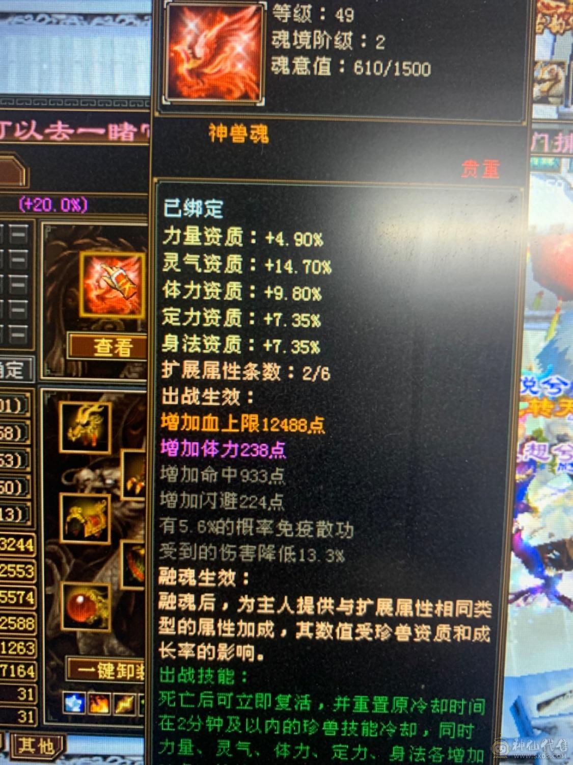 双修增伤50万血极限伤害曼陀